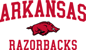 Arkansas Razorbacks Option 6