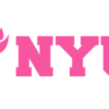 New York University Option 2