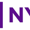 New York University Option 3