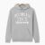 Michigan State University College Hoodie – Grey