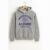 Northwestern Alumni Hoodie – Sport Grey