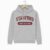 Stanford University College Hoodie – Grey