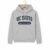 UC Davis College Hoodie – Grey