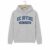 UC Irvine College Hoodie – Grey