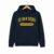 UC San Diego College Hoodie – Navy