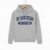 UC San Diego College Hoodie – Grey