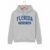 University of Florida College Hoodie – Grey