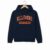 University of Illinois Urbana–Champaign College Hoodie – Navy