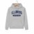 University of Illinois Urbana–Champaign College Hoodie – Grey