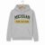 University of Michigan College Hoodie – Grey