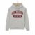 University of Minnesota College Hoodie – Grey