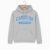 University of North Carolina College Hoodie – Grey