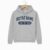 University of Notre Dame College Hoodie – Grey