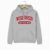 University of Wisconsin–Madison College Hoodie – Grey