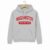 Washington University in St. Louis College Hoodie – Grey