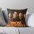 Ghost Adventures Throw Pillow